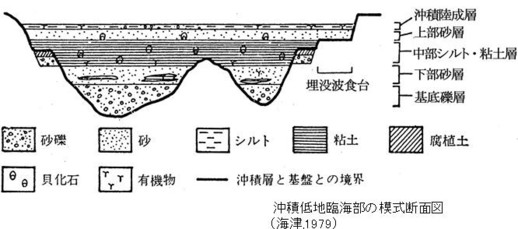 沖積低地臨海部の模式断面図